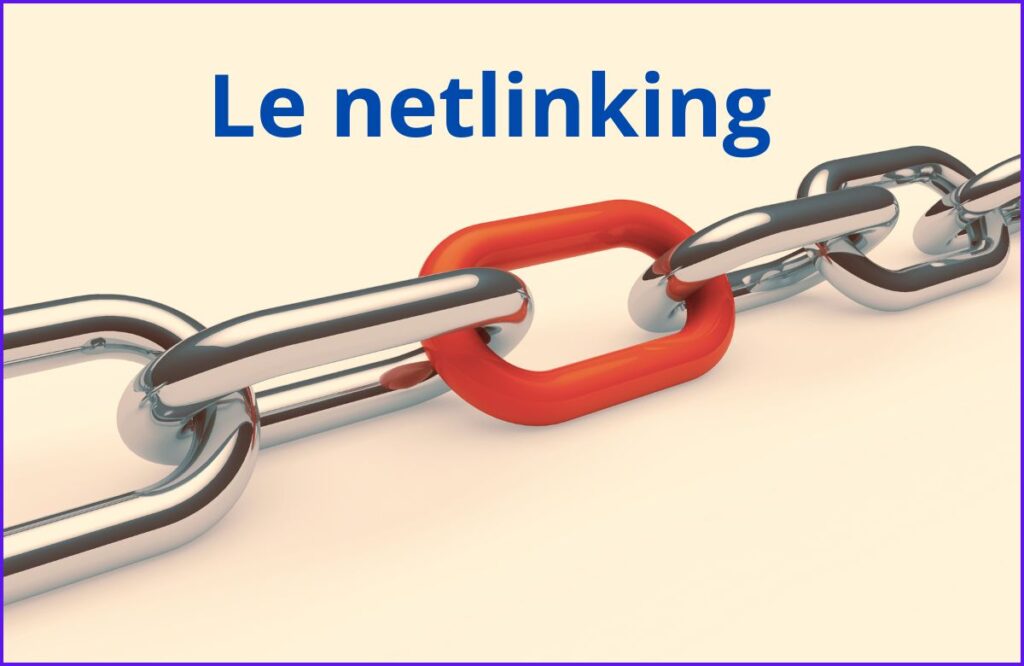 le-netlinking