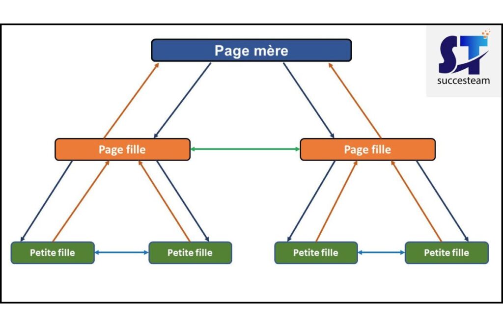 cocon semantique et strategie seo